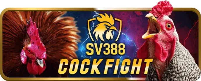 Kiểm soát tâm lý khi cá cược đá gà tại vf555 nổ hũ